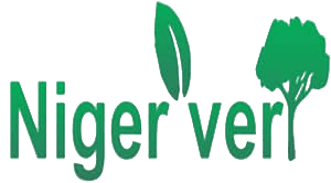 Niger_vert logo